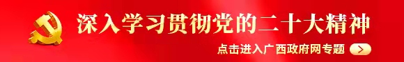 深入学习贯彻党的二十大精神-广西