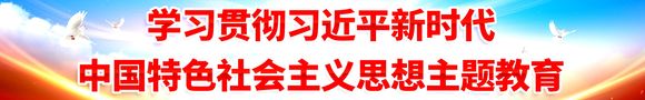 学习贯彻习近平新时代中国特色社会主义思想主题教育